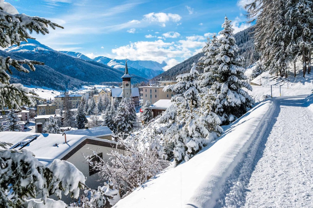 Escorts Davos