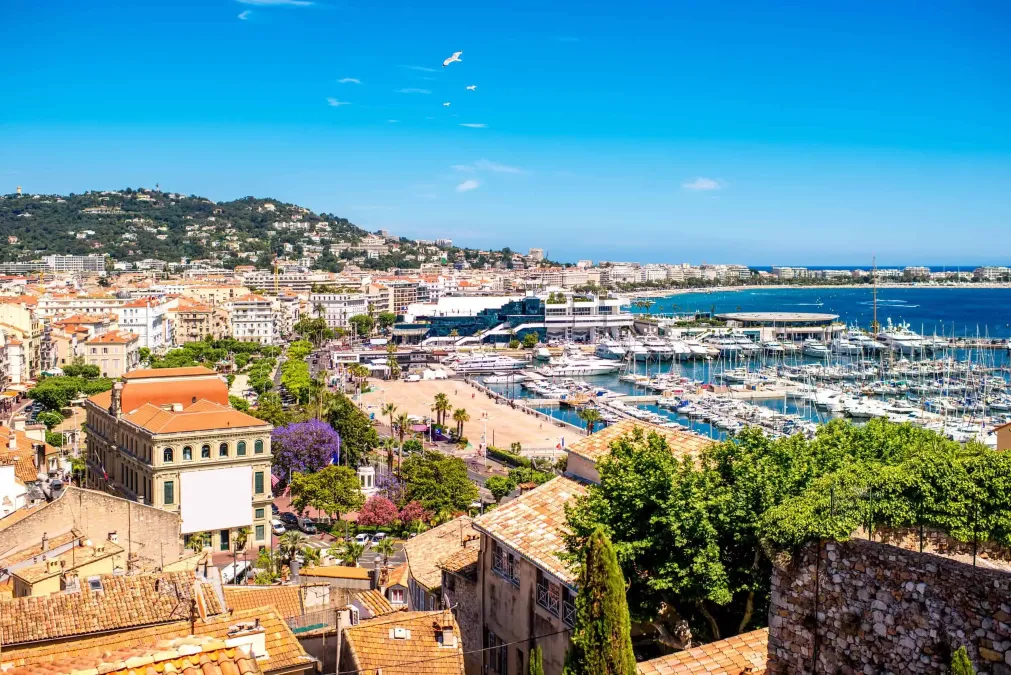 Escort Cannes